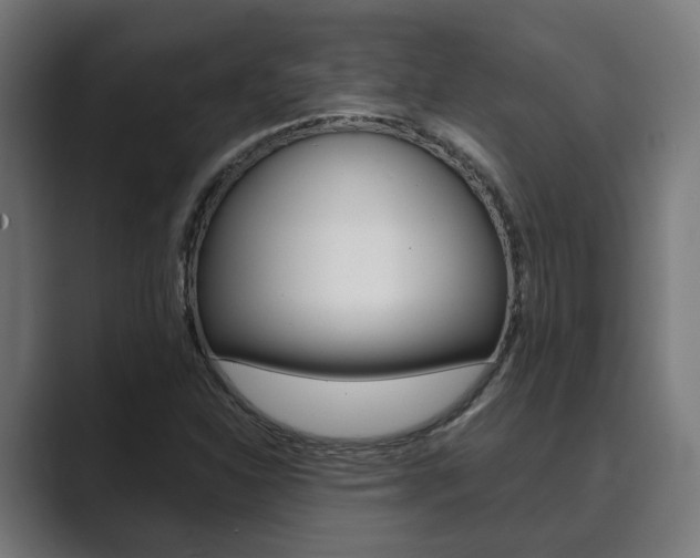 X0000089931310200706290747