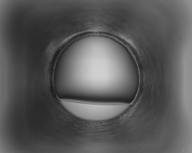 X0000089931311200706290747