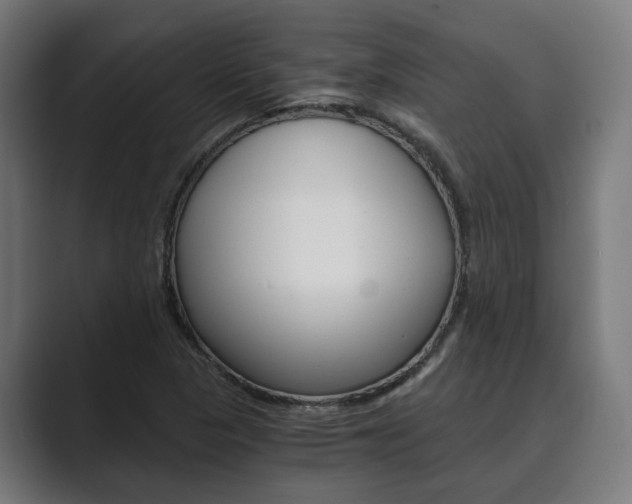 X0000089931313200706290747