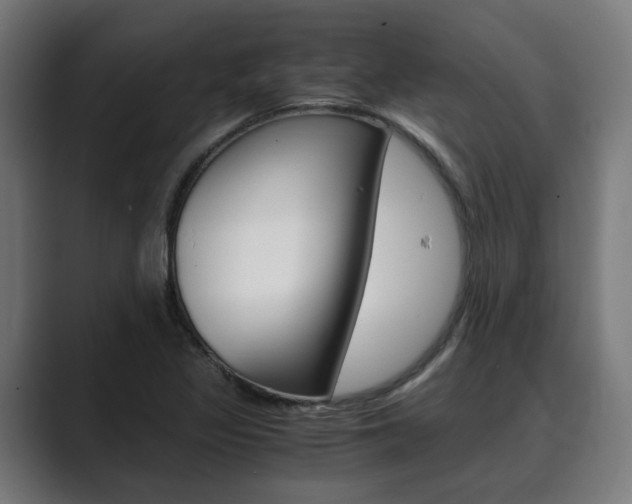 X0000089931317200706290747
