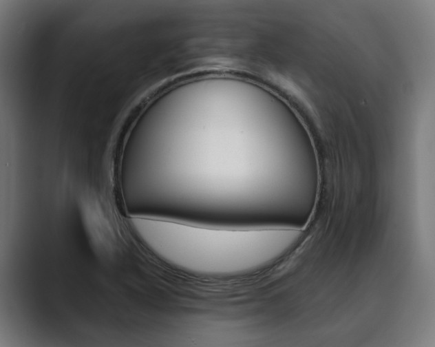 X0000089931318200706290747