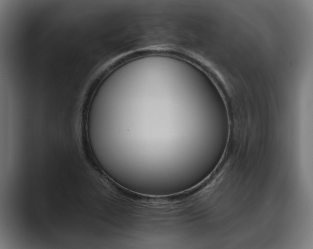 X0000089931319200706290747