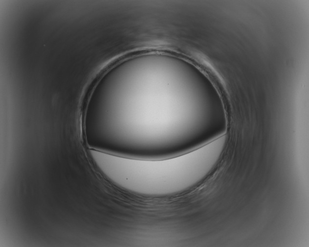 X0000089931320200706290747