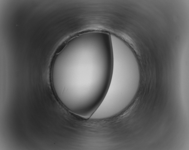 X0000089931326200706290747