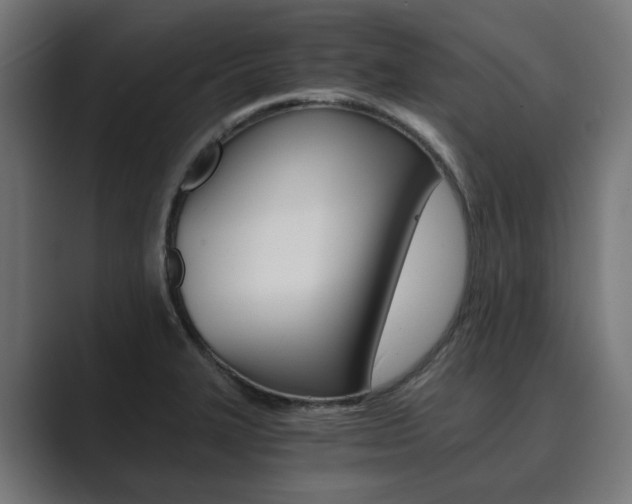 X0000089931327200706290747