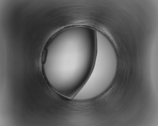 X0000089931328200706290747