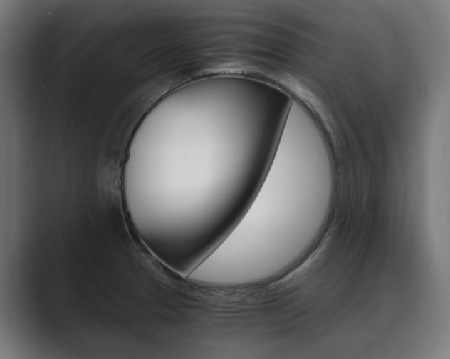 X0000089931329200706290747