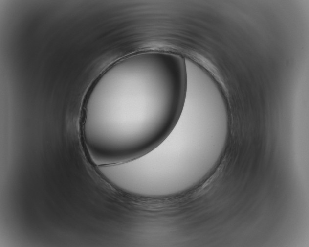X0000089931330200706290747