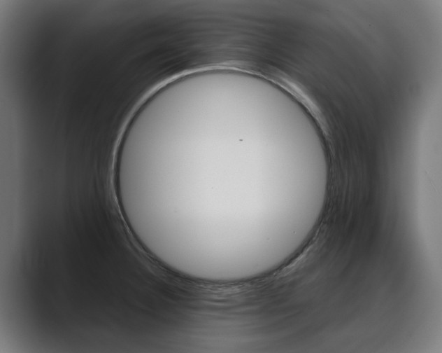 X0000089931332200706290747