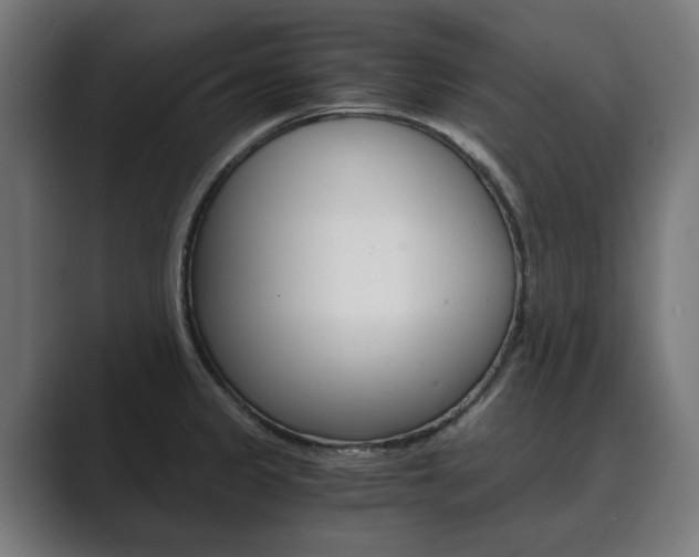 X0000089931333200706290747