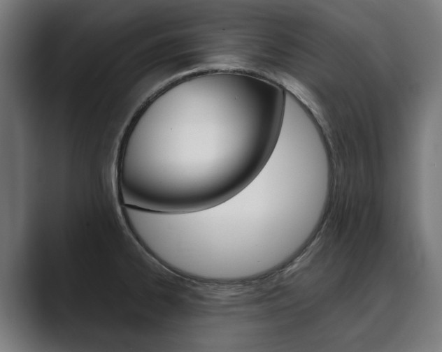 X0000089931334200706290747