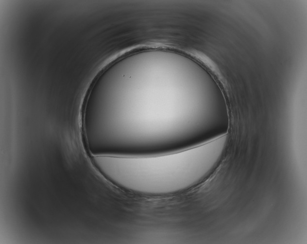 X0000089931335200706290747