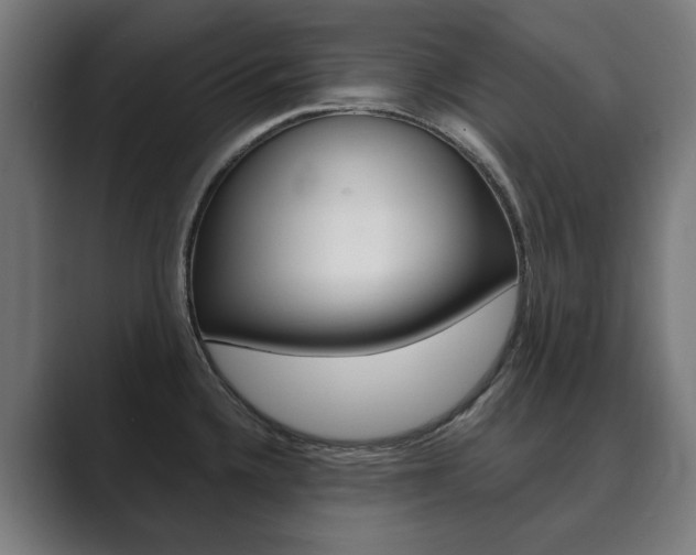 X0000089931336200706290747
