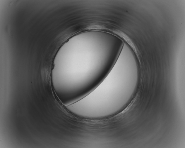 X0000089931337200706290747