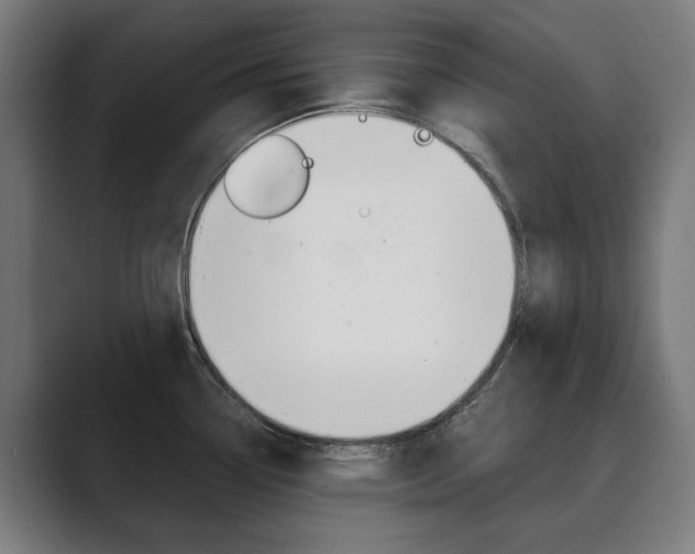 X0000089931338200706290747