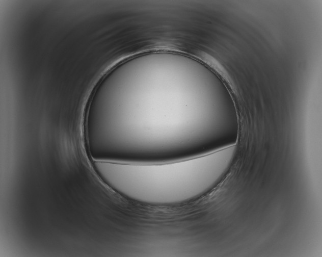 X0000089931339200706290747