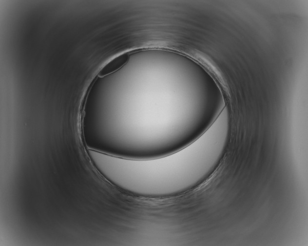 X0000089931340200706290747
