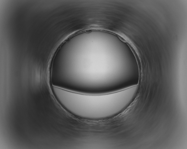 X0000089931341200706290747