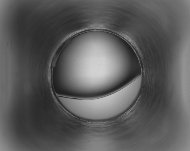 X0000089931342200706290747