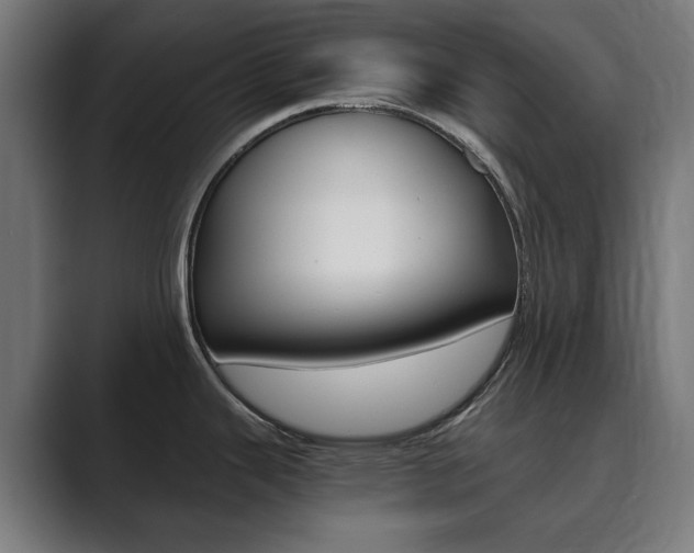 X0000089931343200706290747