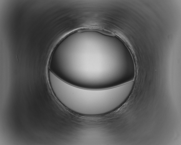 X0000089931344200706290747