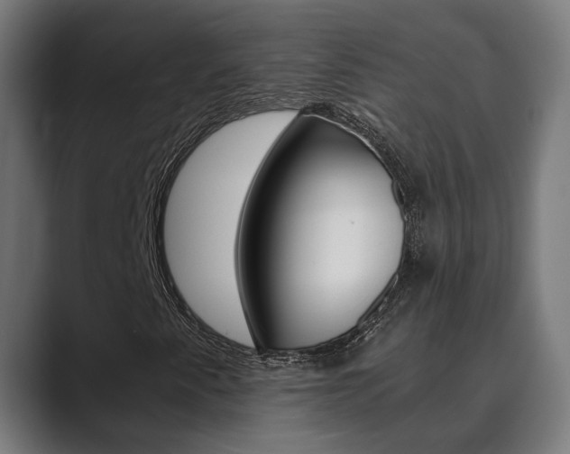 X0000089931345200706290747
