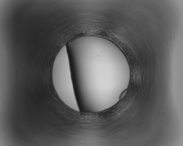 X0000089931346200706290747