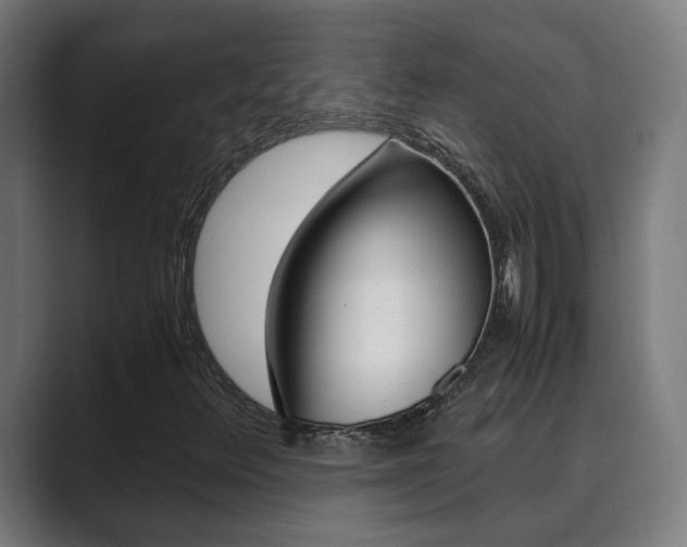 X0000089931348200706290747