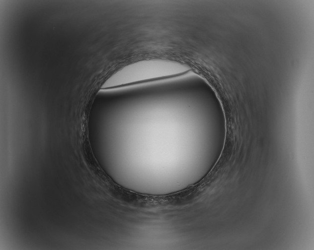 X0000089931349200706290747
