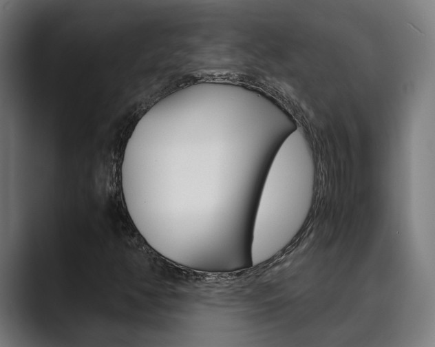 X0000089931350200706290747