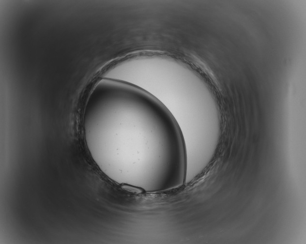 X0000089931352200706290747