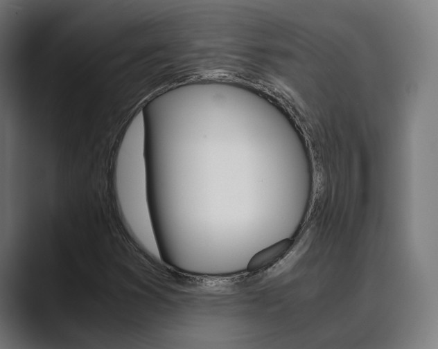 X0000089931353200706290747