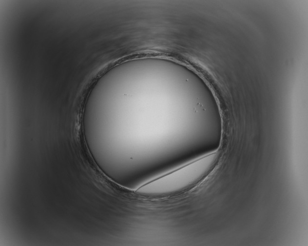 X0000089931355200706290747