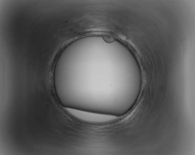 X0000089931357200706290747