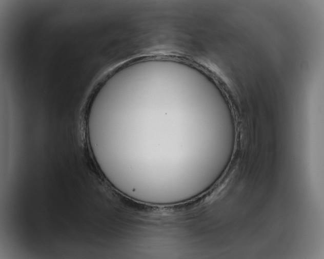 X0000089931358200706290747