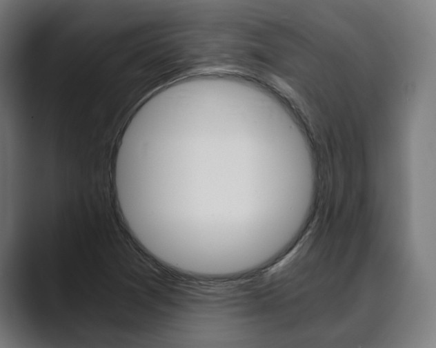 X0000089931361200706290747