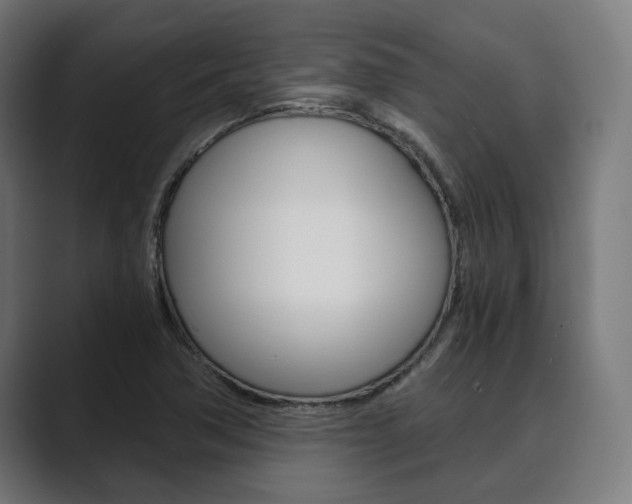 X0000089931362200706290747