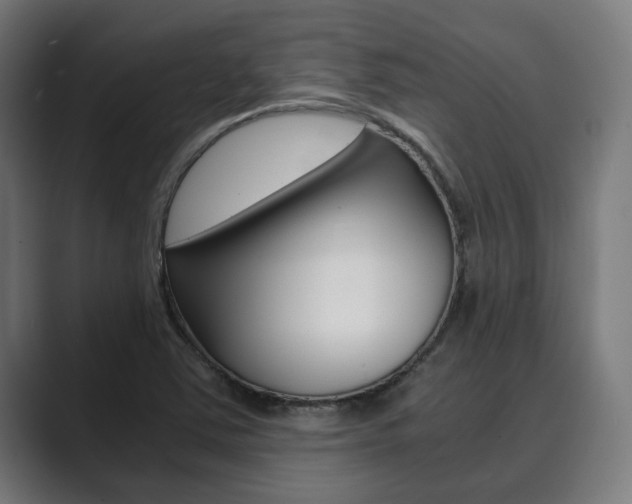 X0000089931363200706290747