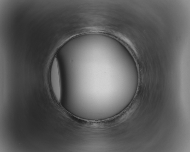 X0000089931365200706290747