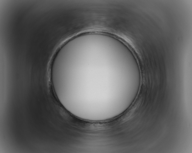 X0000089931366200706290747