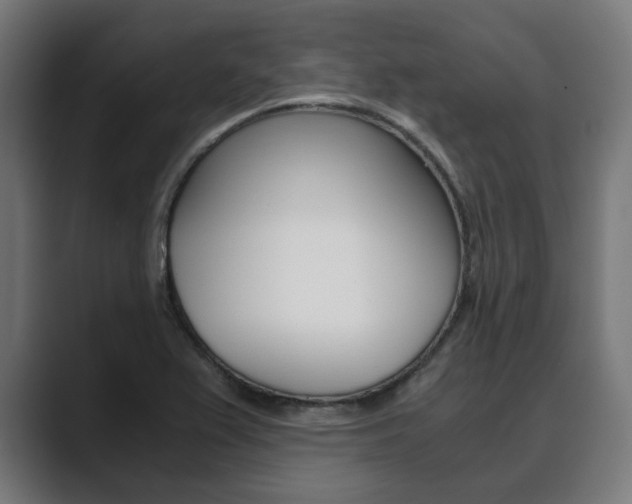 X0000089931367200706290747