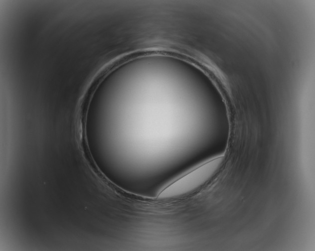 X0000089931368200706290747