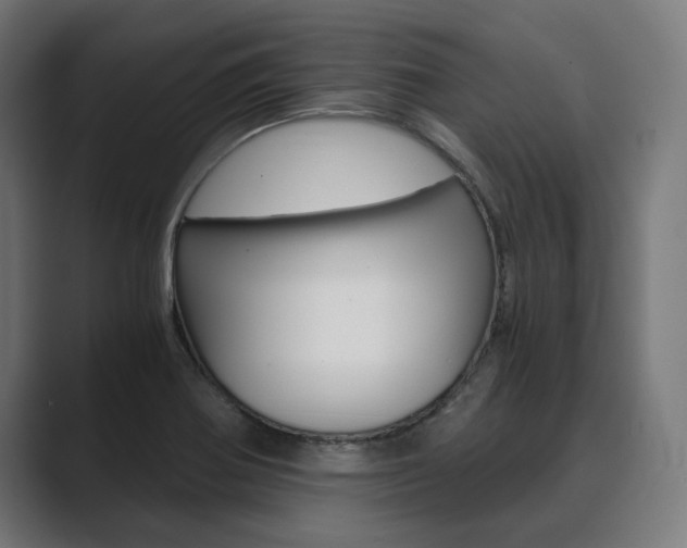 X0000089931370200706290746