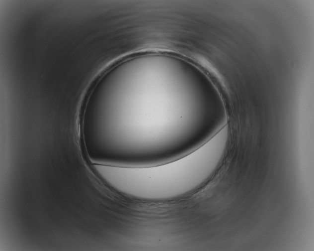 X0000089931372200706290746