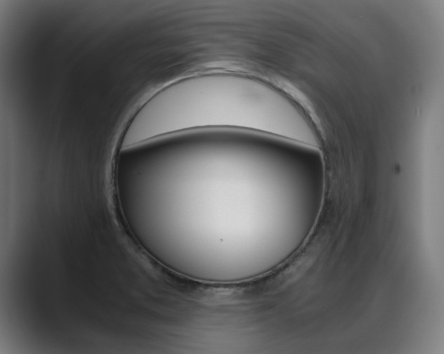 X0000089931373200706290746