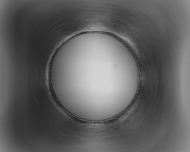 X0000089931374200706290746