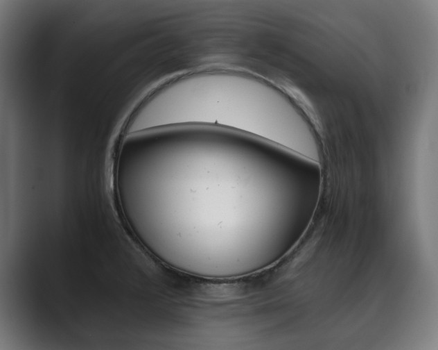 X0000089931376200706290746