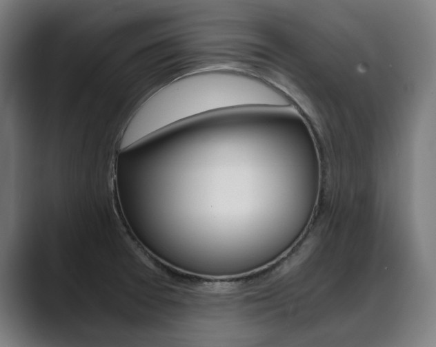 X0000089931377200706290746