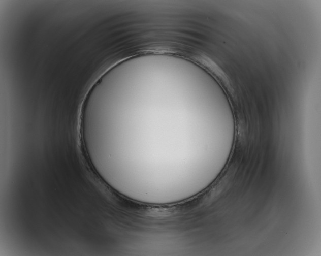 X0000089931378200706290746