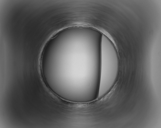 X0000089931381200706290746